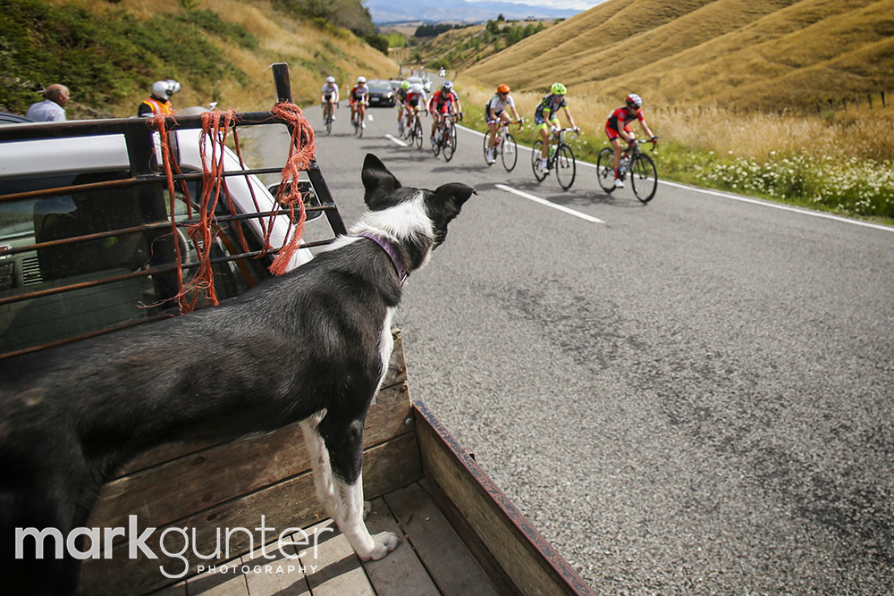 2015 Womens Tour of New Zealand