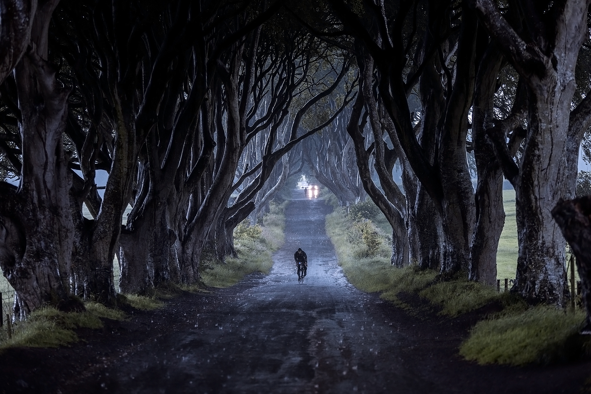 The Dark Hedges